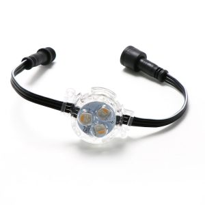 IP68 12V UCS2904 RGBW LED Pixel Light Addressable